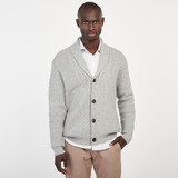 Cardigan Welsh Kevingston