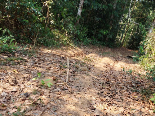 Predio Rural Titulado De 45 Hs En Madre De Dios - Perú - Imagen 3