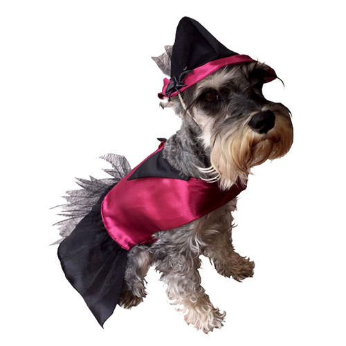 Disfraz Bruja Perro Halloween Talla 1 Mascota Pet Pals