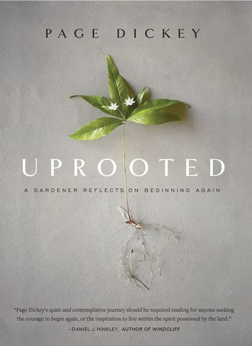 Uprooted: A Gardener Reflects On Beginning Again, De Dickey, Page. Editorial Timber Press, Tapa Dura En Inglés