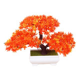 . Árbol De Bonsái Para Exteriores, Plantas De Interior .