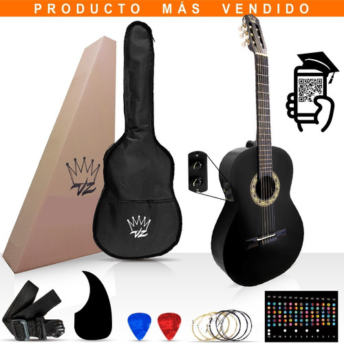 Guitarra Electroacustica  Brx Pasiva Tono Y Volumen Vz