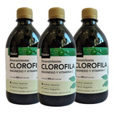 Clorofila X3 Detox Equilibra Metabolismo Natier 500ml 