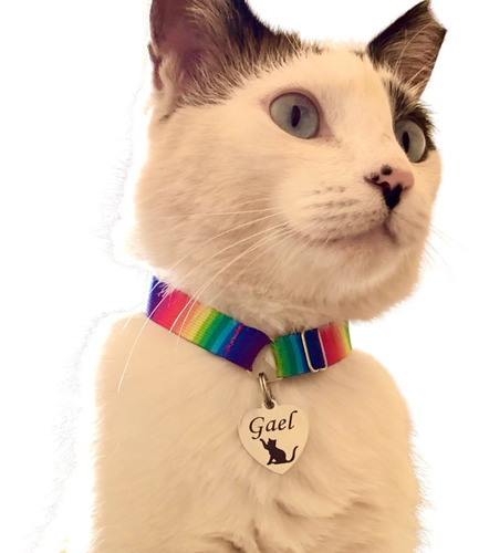 Coleira Lgbt  Para Gato Anti Enforcamento Gravação Grátis