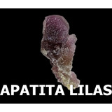 Apatita Lilas Rara Cor Pedra Do Brasil, Mineral Raro N4076