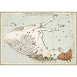 Lienzo Canvas Arte Constelación Pegaso 1825 Astronomía 50x72
