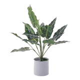 Planta Decora Artificial Alocasia Zebrina Blanca