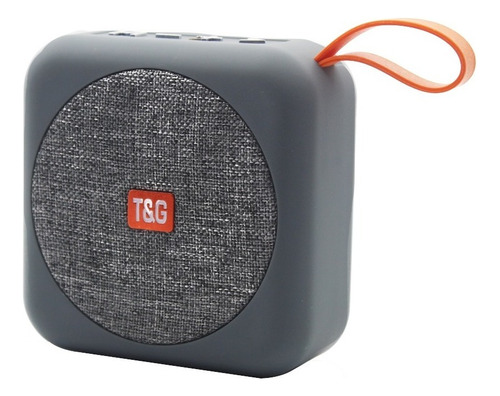 Parlante Portatil T&g Tg-505 Bluetooth Stereo Radio Fm Usb Color Gris