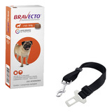 Antipulga Carrapato Bravecto Cães 4,5 A 10kg+cinto Segurança