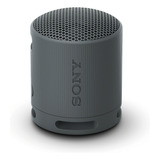Sony Bocina Inalámbrica Portátil Xb100 Sonido Potente Y