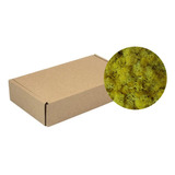 Musgo Preservado Reindeer Moss Para Manualidades - 50g