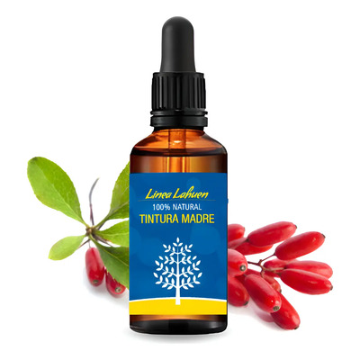 Tintura Madre Agracejo Berberis - Berberina 50ml | Envío gratis