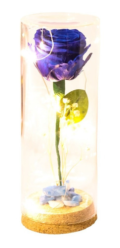 Cupula Rosa Azul Natural Preservada Con Luces Bella Y La Bes