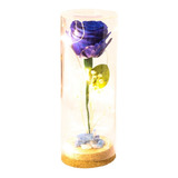 Cupula Rosa Azul Natural Preservada Con Luces Bella Y La Bes