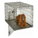Midwest Home For Pets, Jaula Para Perro 1542 Icrate,