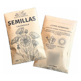 Semillas De Caléndula Officinalis | Pack Tres Sobres