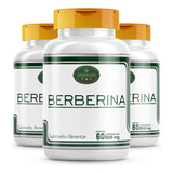 Berberina Suplemento 100%puro 180 Cápsulas/500mg Kit 3 Potes