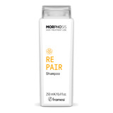 Shampoo Repair X250ml Framesi Morphosis Cabello Dañado