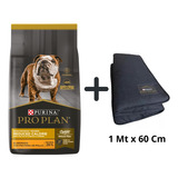 Pro Plan Perro Light Raza Mediana Grande X 15 + Colchineta 