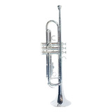 Versalles Trompeta Plateada Cx-w068