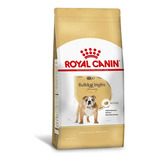 Royal Canin Bulldog Ingles X 12kg Il Cane Pet Food E.t.pais 