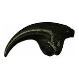 Allosaurus - Réplica De Fósil De Garra De Tamaño Real