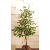 Planta Artificial Árvore Ficus Variegata 1,30mt Altura