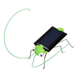 Barata Gafanhoto Movido A Energia Solar Robô Solar Didático