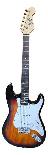 Custom Vulpek Stratocaster