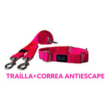 Traílla + Collar Antiescape