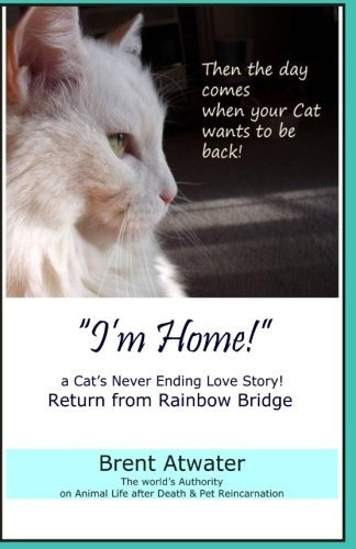 Im Home! A Cats Never Ending Love Story Pets Past Lives, Ani