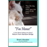 Im Home! A Cats Never Ending Love Story Pets Past Lives, Ani