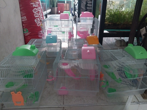 Jaulas Casita Hamster Con Accesorios Envío Gratis 