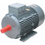 Motor Trifasico Czerweny 1al112m-2 5.5 Hp 2 Polos 3000 Rpm