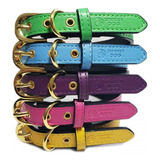  Wonder Dog Collar De Colores Para Perros Talla Xs Pethome