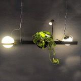 Lampara Colgante Botanica Plantas Led Deco Hawai Perfecta