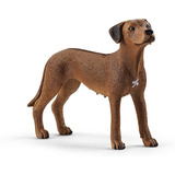 Schleich Perros Gatos 13895 Perro Rhodesian Ridgeback