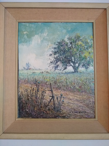 Cuadro Campo Argentino Pintura Al Oleo Italo De Luca Año 74