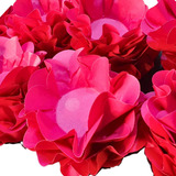 40 Forminhas Para Doces Finos Casamento - Modelo Flor Cor Pink