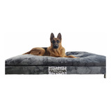 Base Cama + Colchón Para Perros !!! Grande Talla Xl