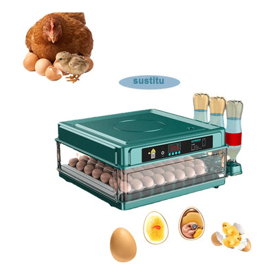 incubadora pollos 64 Huevos Apta para pollos y aves de corral Giro Automatico Pantalla Lcd Incubadora Y Criadora, 2 En 1, Con Llenado Automático De Agua Y Control Automático De Temperatura | Meses sin interés