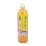 Pack De 2 Shampoo Jengibre Miel Vitamina E Crecimiento 