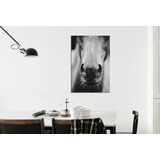 Vinilo Decorativo 60x90cm Caballo Campo Horse Vinil M5