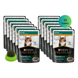 Paquete Pro Plan 12 Pouches Gatito Kitten 85gr + Regalo