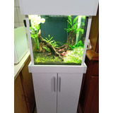 Acuario 40x40 Completo Con Mueble Y Accesorios 