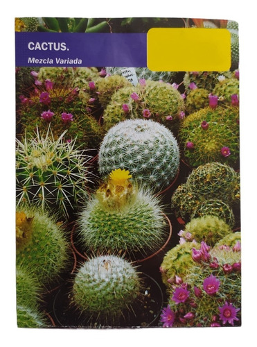 Semillas De Cactus (mixto) X 15 Unidades