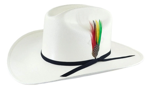 Sombrero Vaquero Estilo Carin León  | Envío gratis