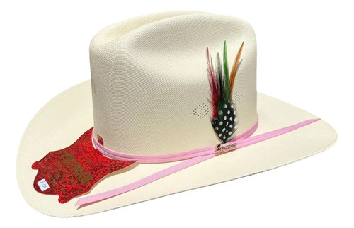 Sombrero Vaquero Estilo Sinaloa 150x F9 T.rosa Trumar Hats | Envío gratis