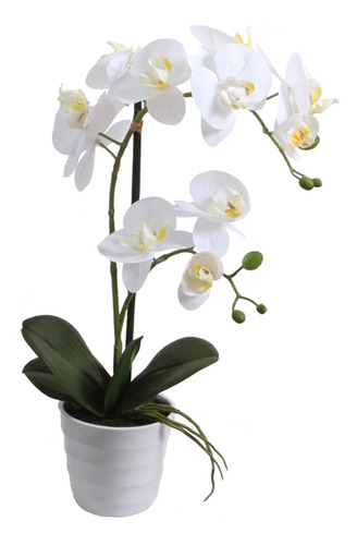 Orquídea Blanca 51 Cm En Macetero, Vadell Home