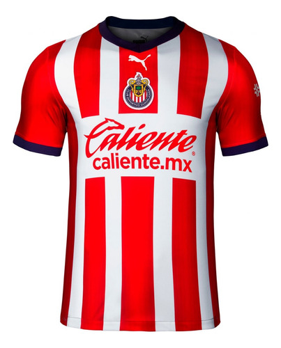 Playera Jersey Puma De Chivas Del Guadalajara  2020-2021